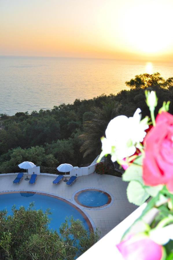 Holiday Apartments Maria With Pool - Agios Gordios Beach 外观 照片
